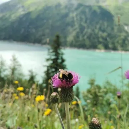 Apartment Haus Dora 4 Panoramablick Mayrhofen